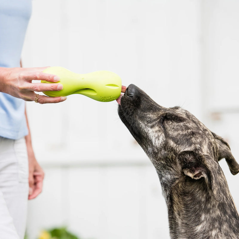 West Paw Zogoflex Qwizl® Treat-Holding Chew Toy