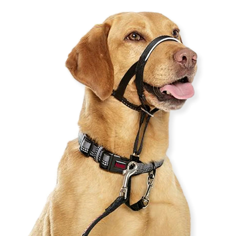 Halti Headcollar