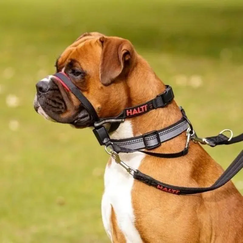 Halti OptiFit Adjustable Head Collar