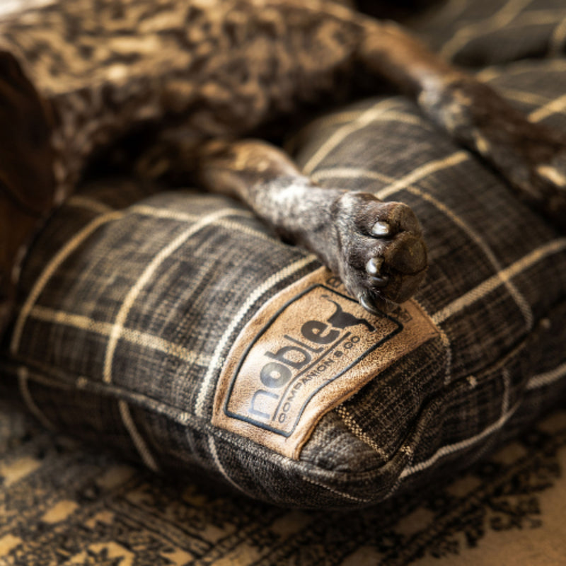 The Canine Cloud Orthopedic Indoor Dog Bed