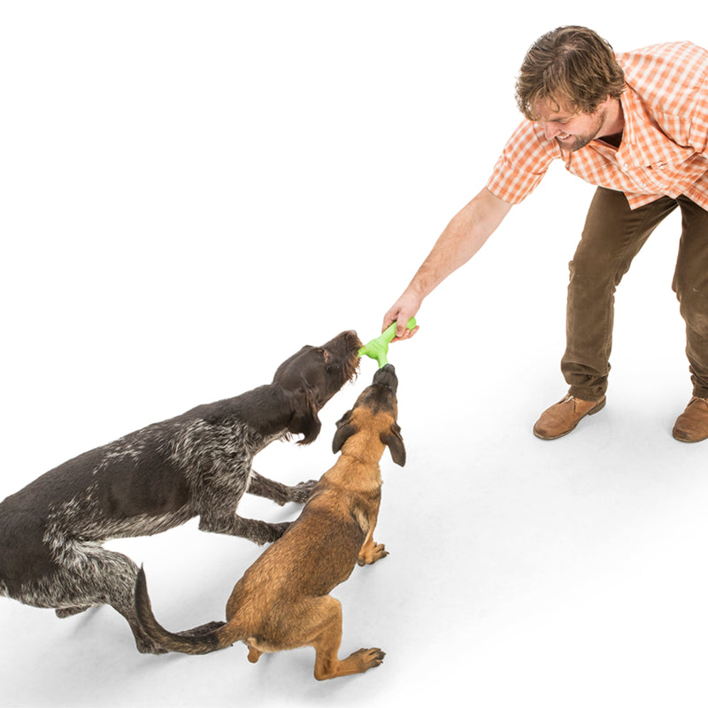 West Paw Zogoflex Skamp – Bouncy Fetch & Tug Dog Toy