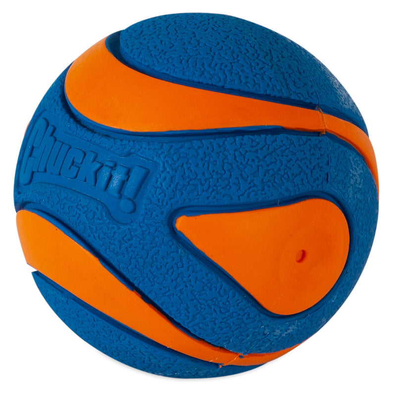 Chuckit! Ultra Squeaker Ball Fetch Dog Toy