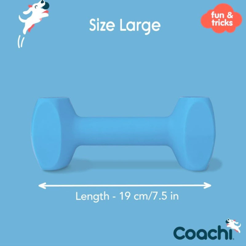 Coachi Training Dumbbell
