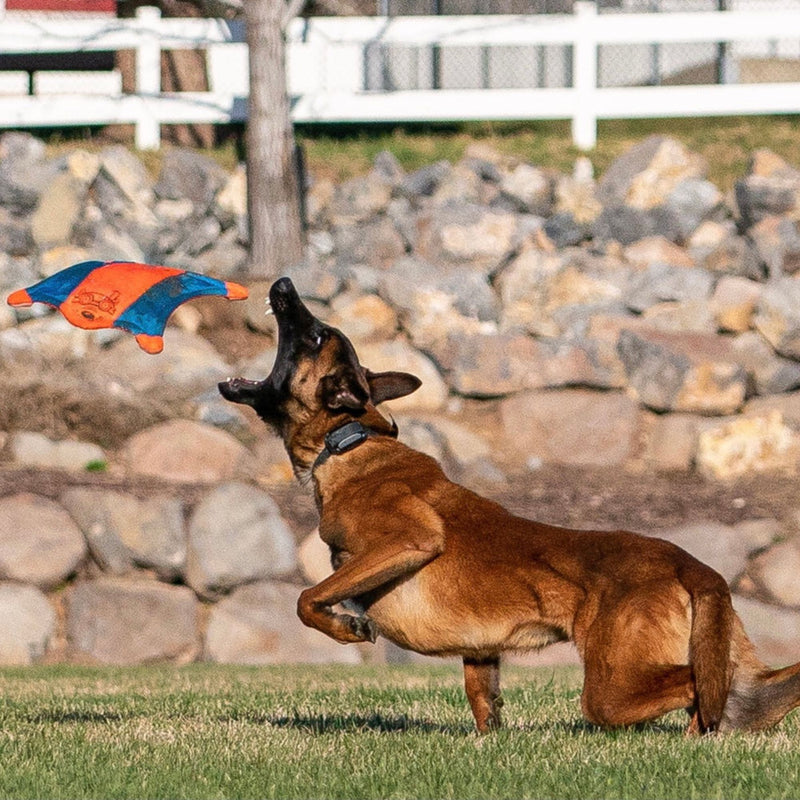 Chuckit! Flying Squirrel