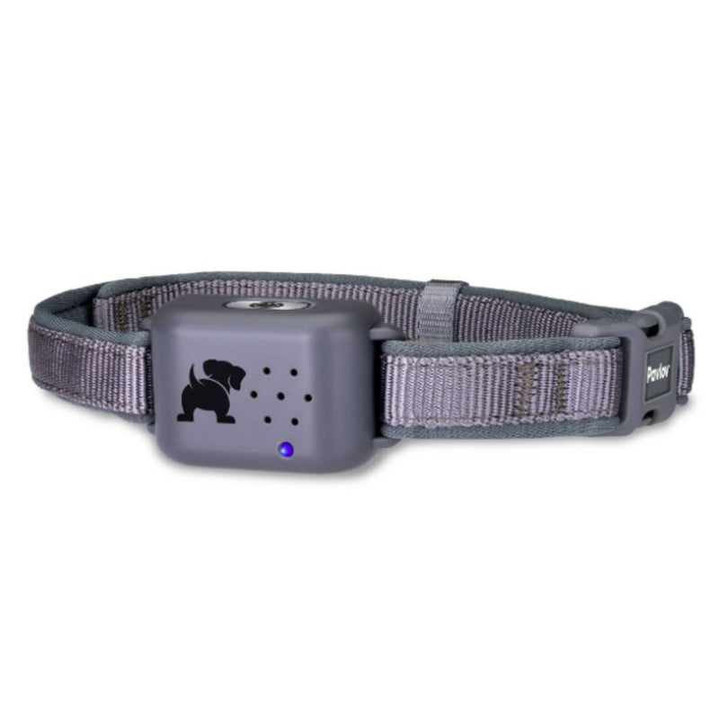 Pavlov Digital No Bark Collar by Company of Animals