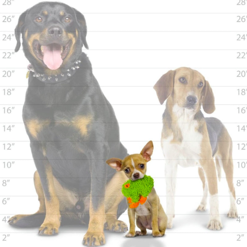 Mighty Microfiber Frog Plush Dog Toy