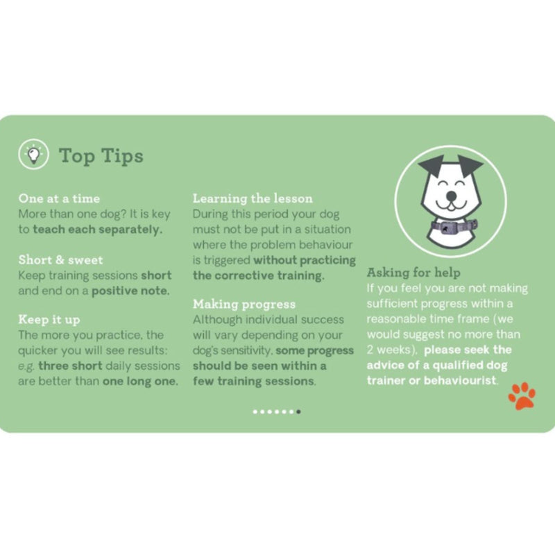 Pavlov Digital No Bark Collar by Company of Animals