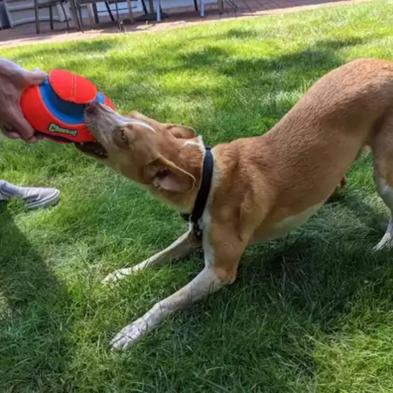 Chuckit! Fumble Fetch