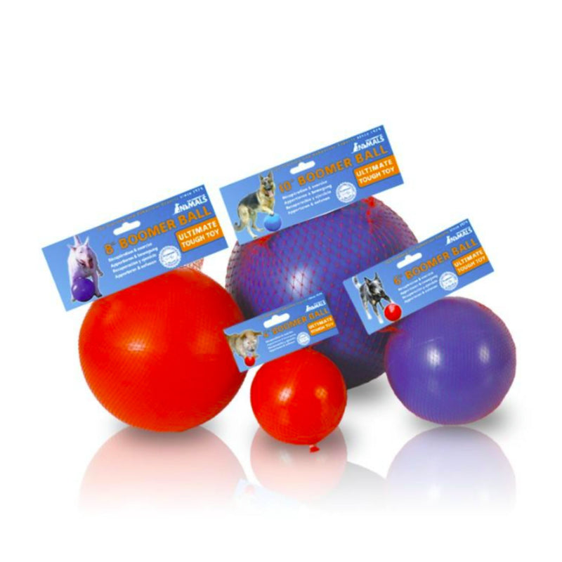Boomer Ball by Company of Animals – Virtually Indestructible Dog Toy