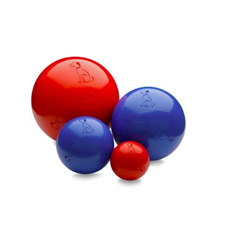Boomer Ball by Company of Animals – Virtually Indestructible Dog Toy
