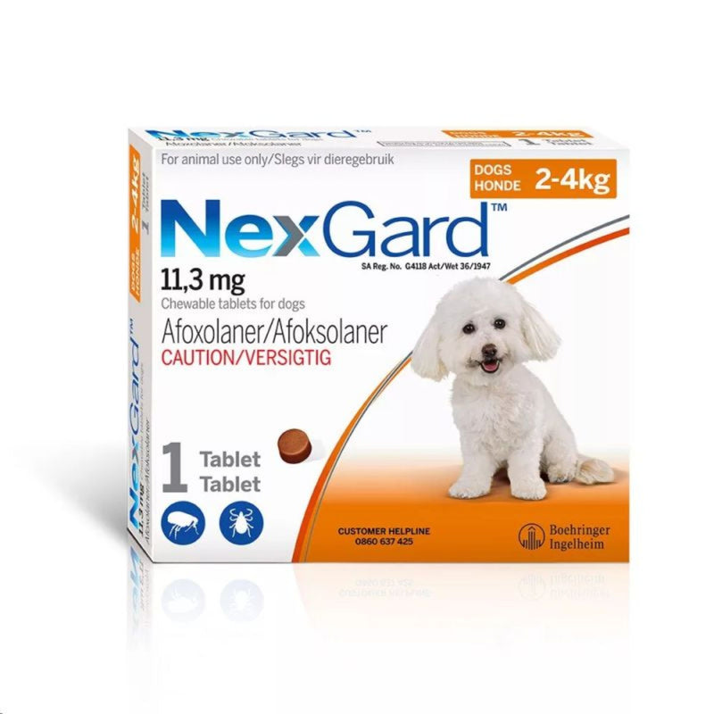 NexGard Chewable for Dogs – Tick & Flea Control (All Sizes, 1 Tablet)
