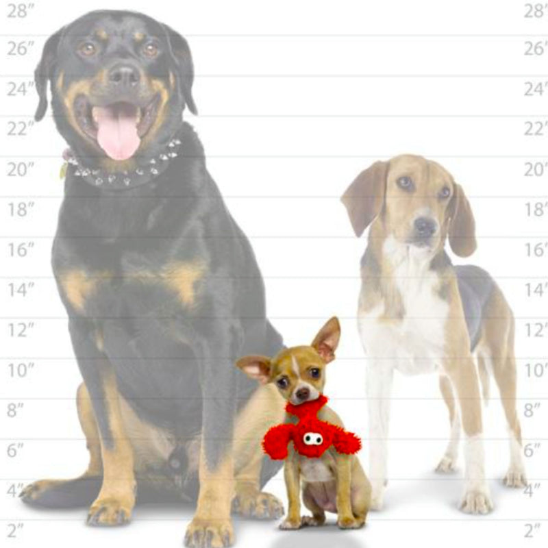 Mighty Microfiber Balls Lobster junior