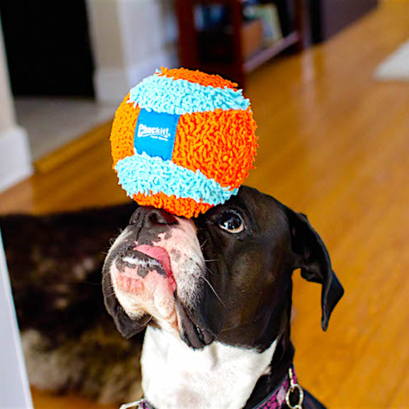 Chuckit! Indoor Ball