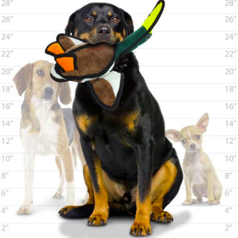 Tuffy Barnyard Duck Dog Toy