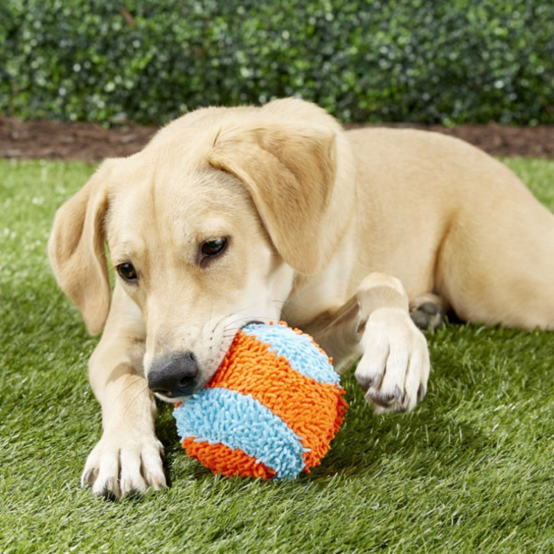 Chuckit! Indoor Ball