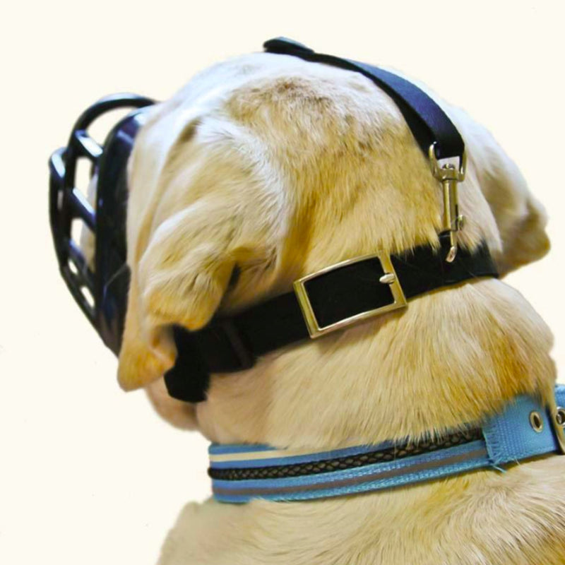 Baskerville Ultra Muzzle by Company of Animals