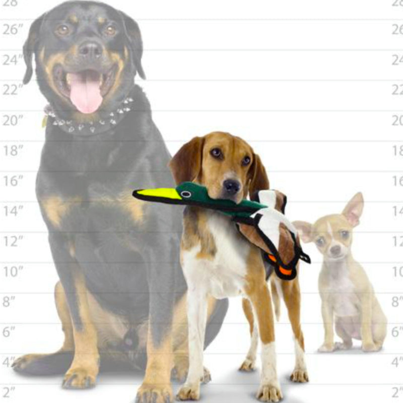 Tuffy Barnyard Duck Dog Toy