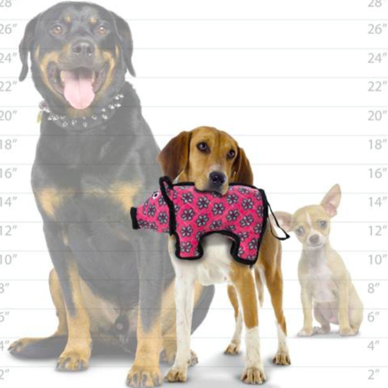 Tuffy Barnyard Pig Plush Toy