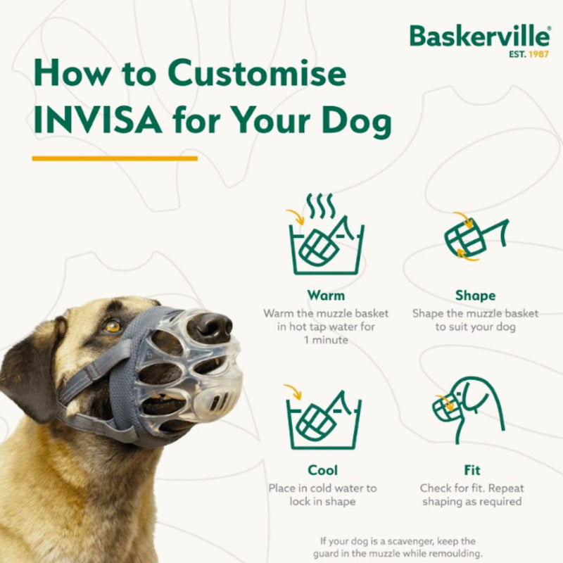 Baskerville Invisa Muzzle by Company of Animals
