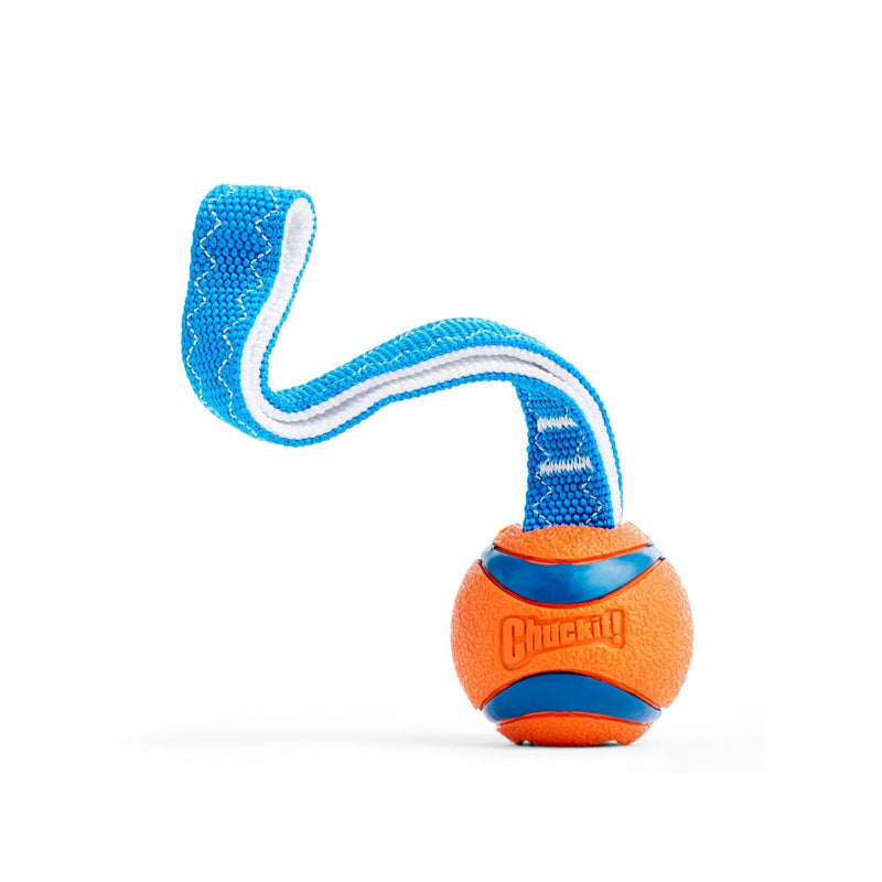 Chuckit! Ultra Tug Dog Toy