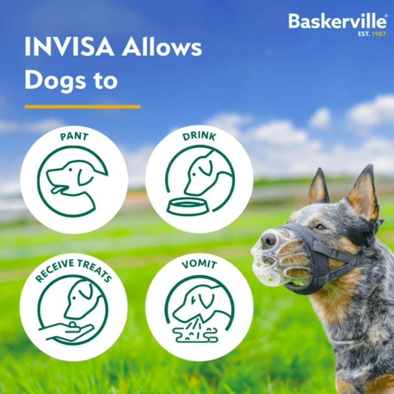 Baskerville Invisa Muzzle by Company of Animals