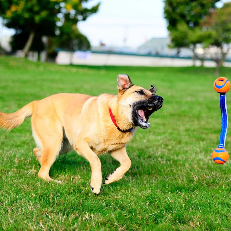 Chuckit! Ultra Duo Tug Dog Toy