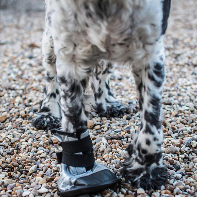 Mikki Dog Boot - Weatherproof Protective Boot