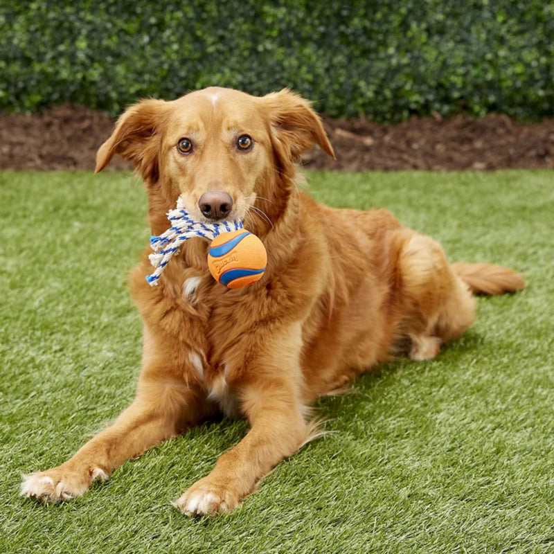 Chuckit! Ultra Toss Launcher Compatible Rubber Ball with Rope