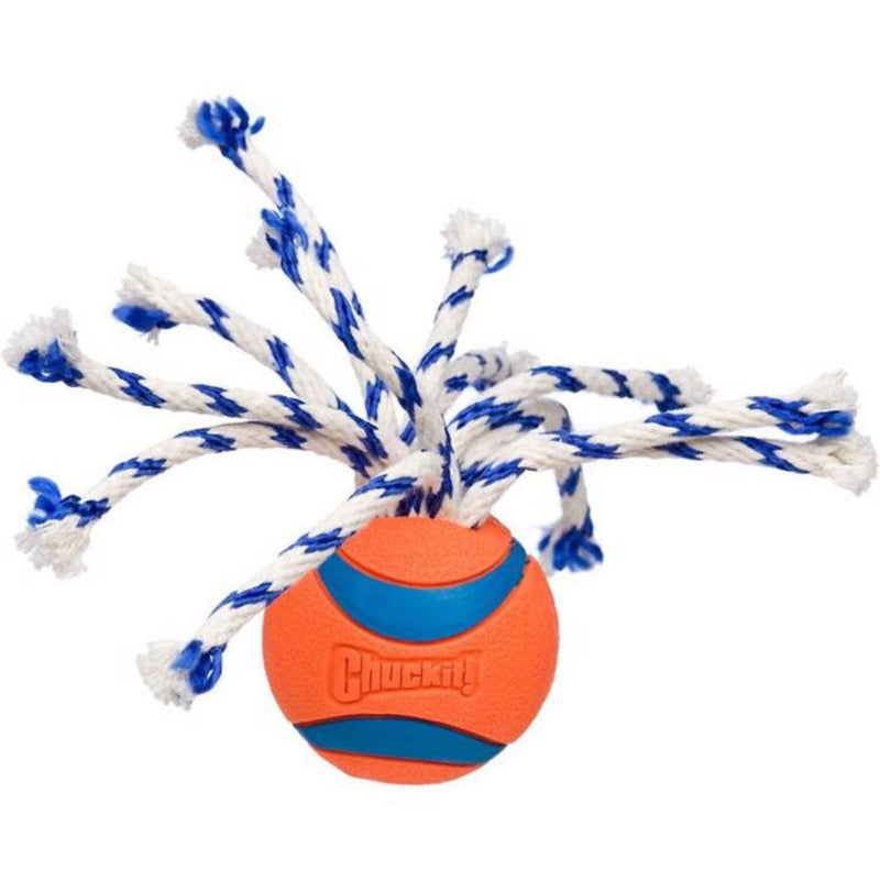 Chuckit! Ultra Toss Launcher Compatible Rubber Ball with Rope
