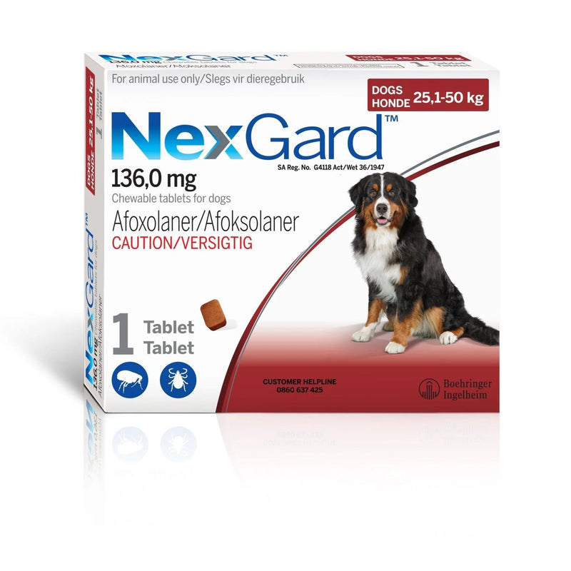 NexGard Chewable for Dogs – Tick & Flea Control (All Sizes, 1 Tablet)