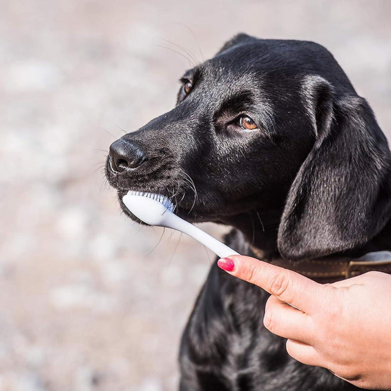 Mikki Double Toothbrush