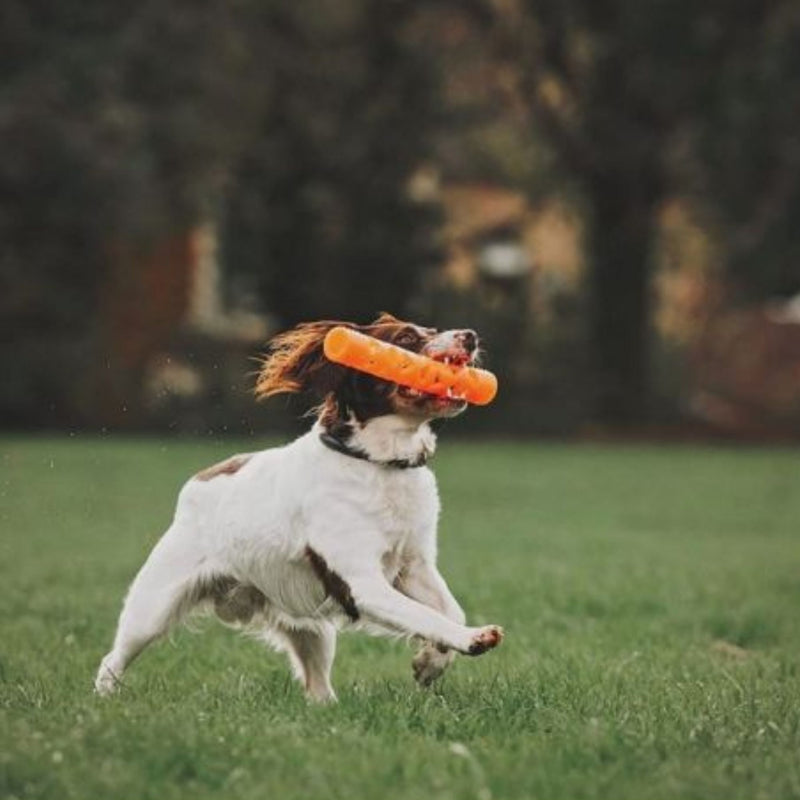 Chuckit! Breathe Right™ Fetch Stick for Dogs