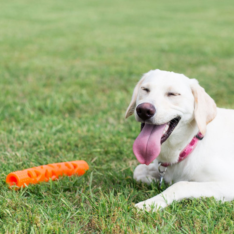 Chuckit! Breathe Right™ Fetch Stick for Dogs