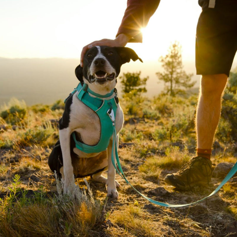 Ruffwear Front Range™ Dog Collar