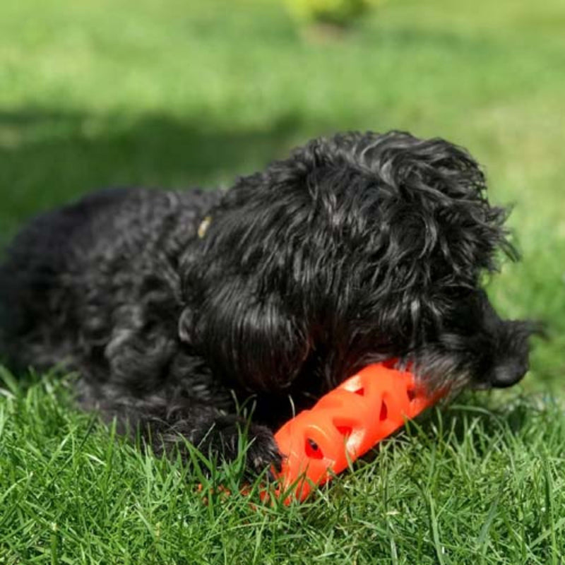 Chuckit! Breathe Right™ Fetch Stick for Dogs