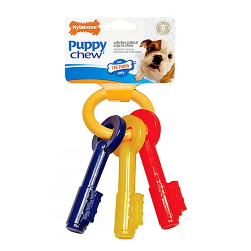 Nylabone Puppy Teething Keys Chew Toy – Bacon Flavour