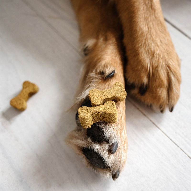 Gizzls Calming Dog Treats