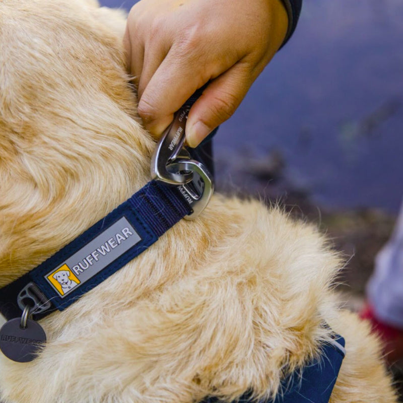 Ruffwear Front Range™ Dog Collar