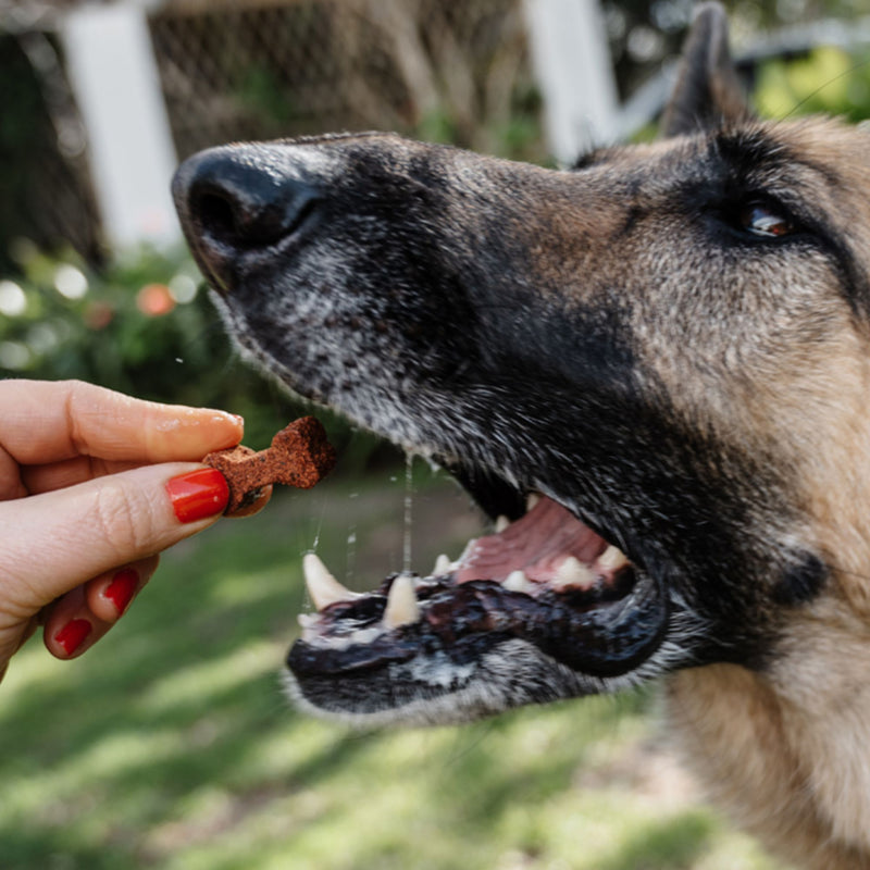 Gizzls 100% Natural Dog Treats for Joint & Mobility