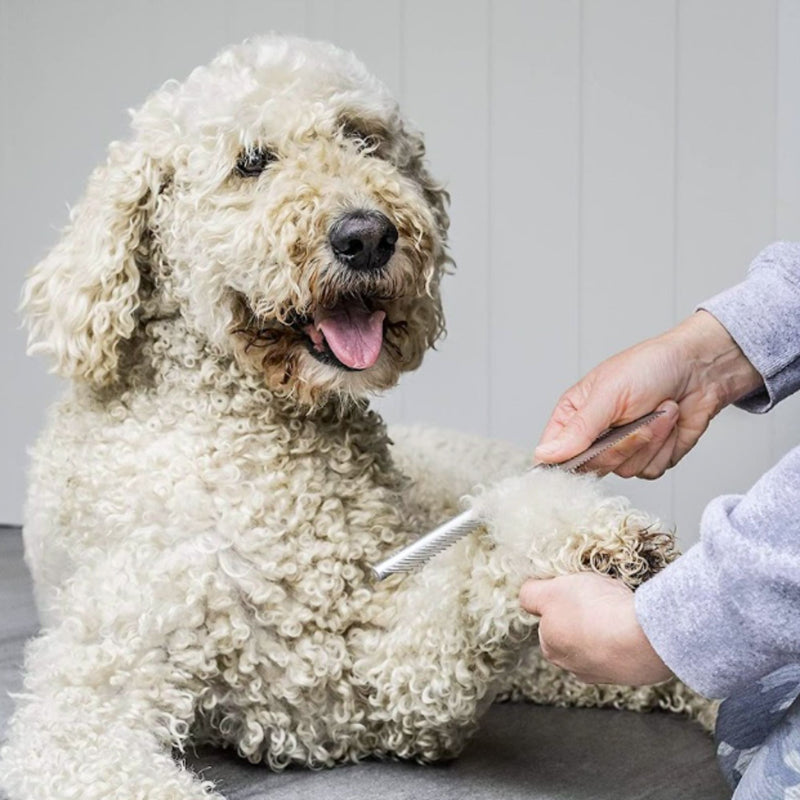 Mikki Doodle Grooming Kit