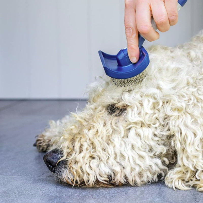 Mikki Doodle Grooming Kit