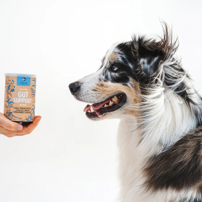 Gizzls 100% Natural Dog Treats for Gut Support