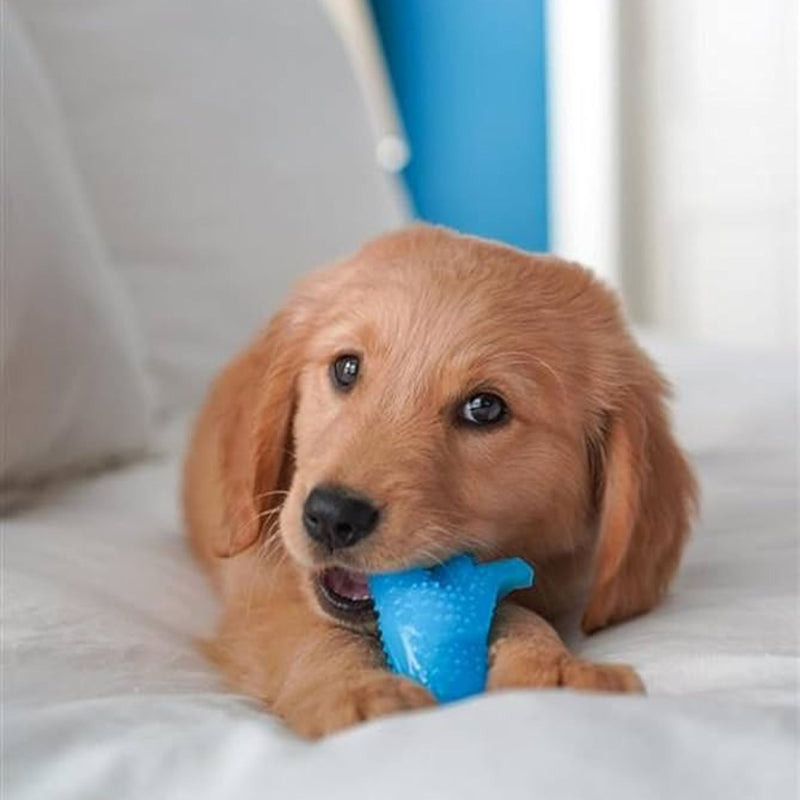 Nylabone Puppy Teething Dental Dinosaur – Chicken Flavoured