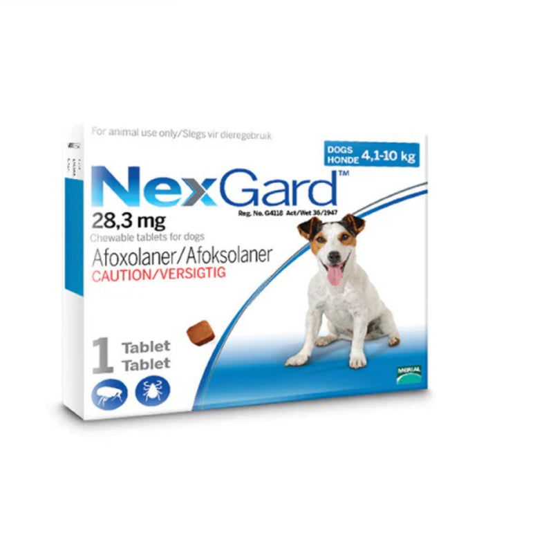 NexGard Chewable for Dogs – Tick & Flea Control (All Sizes, 1 Tablet)