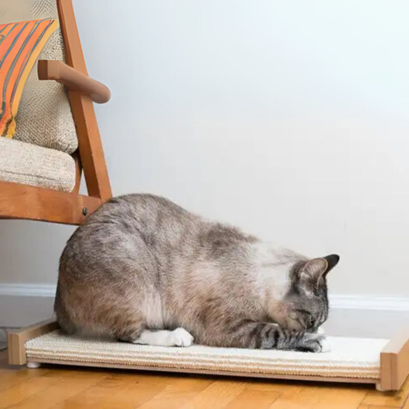 SmartCat Bootsie's Combination Scratcher