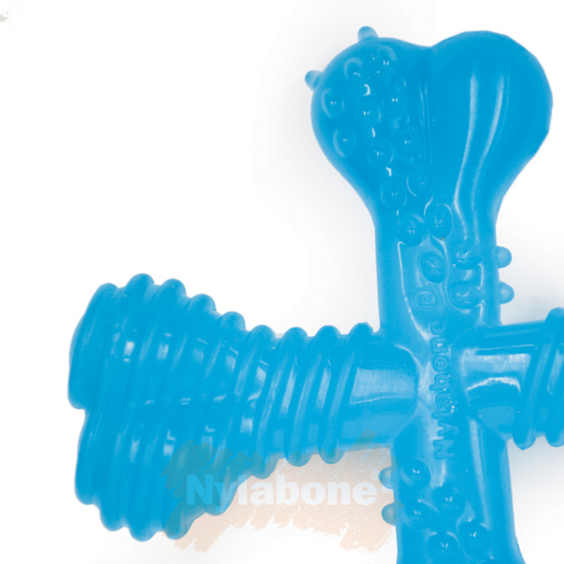 Nylabone Puppy X-Shaped Teething Chew – Beef Flavoured