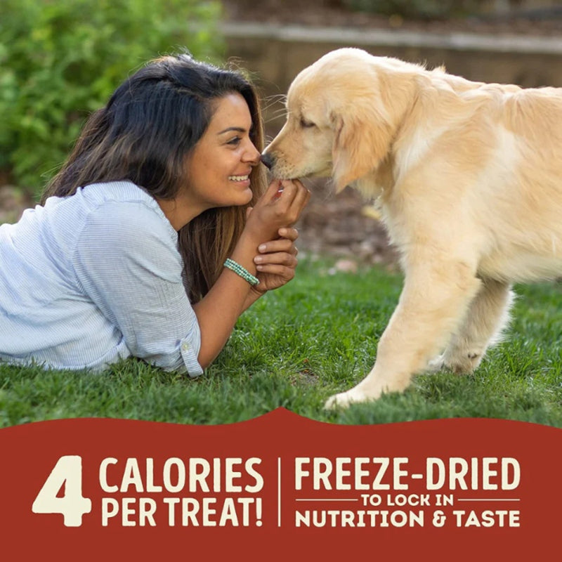ACANA™ Beef & Pumpkin Freeze-Dried Dog Treats