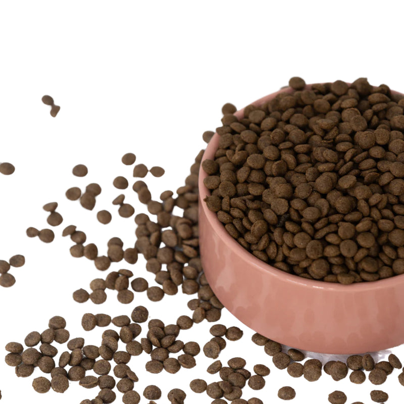 Aiko Puppy Dry Dog Food – Hypoallergenic Insect Protein