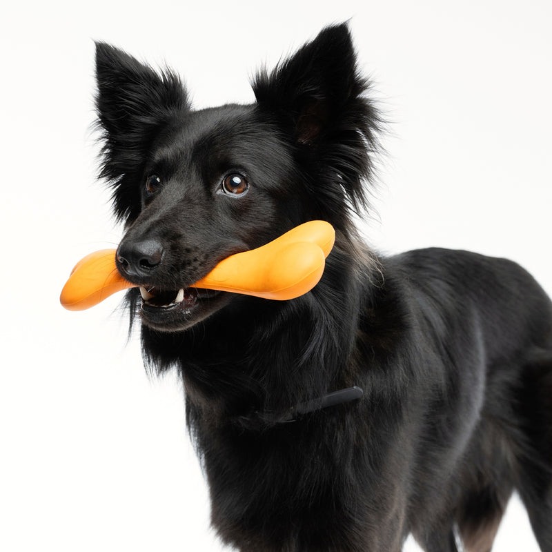 Zugo Bone Rubber Toy – Peanut Butter Aroma Chew for Dogs