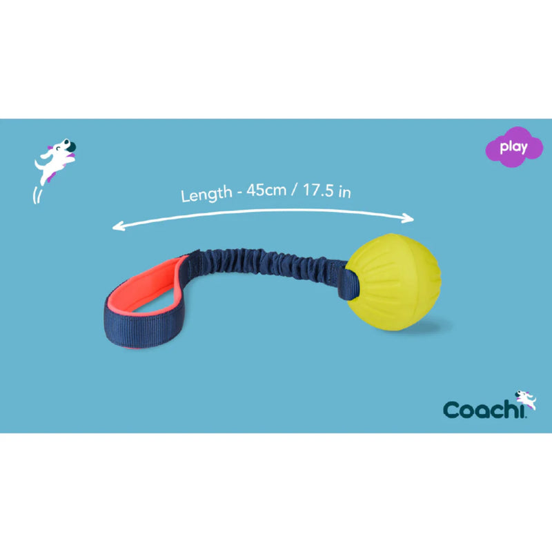 Company of Animals Coachi Tuggi Ball